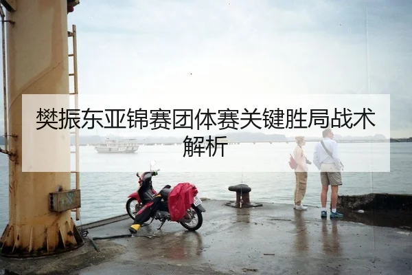 樊振东亚锦赛团体赛关键胜局战术解析